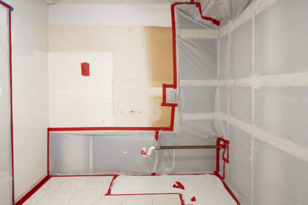Best Commercial Mold Inspection  in Pleasantdale, NJ