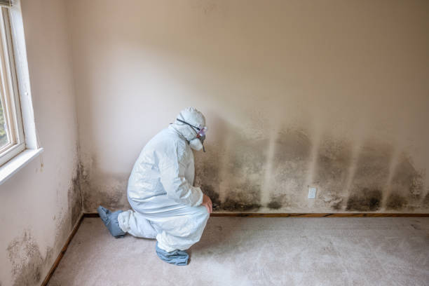 Best Mold Prevention Services  in Pleasantdale, NJ