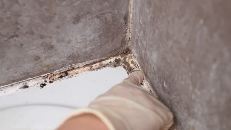 Best Dehumidification Services  in Pleasantdale, NJ